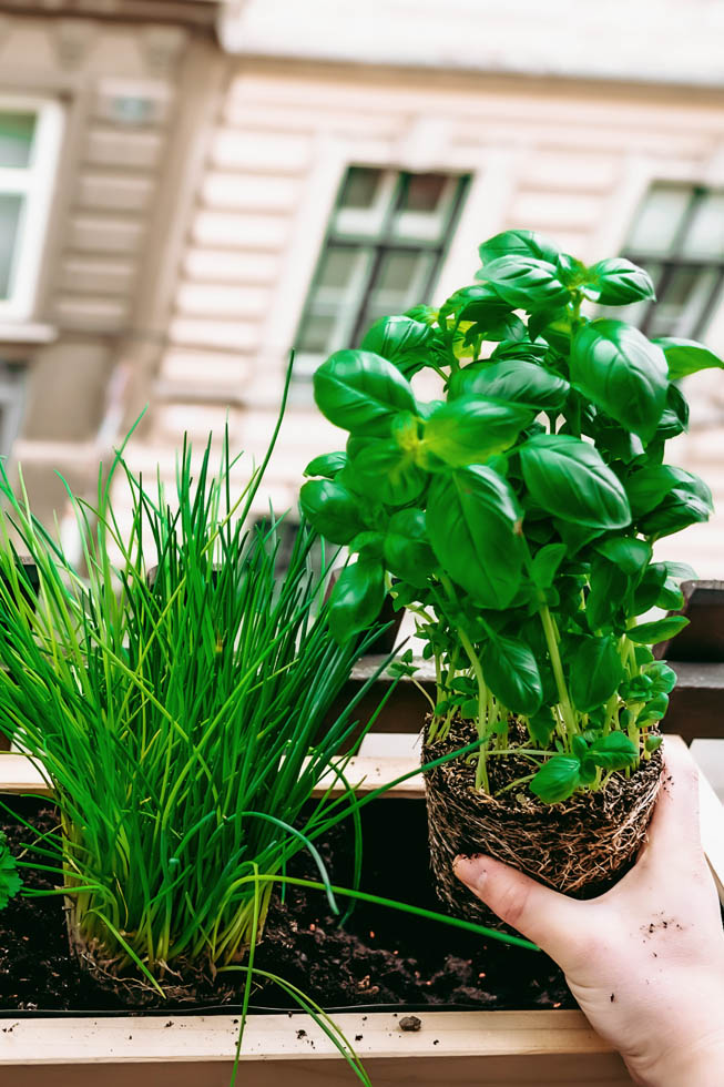 Urban Gardening: Balkon Sommerfit machen | FREE MINDED FOLKS